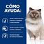 2 x 3 kg Hill's Prescription Diet r/d Weight Loss Frango ração para gatos Pack poupança!, , large Indicador imagem número 4