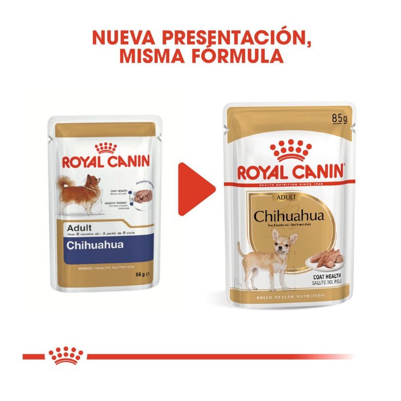 85 g Royal Canin Adult Chihuahua patê em saquetas para cães,  Imagem número 3 85 g Royal Canin Adult Chihuahua patê em saquetas para cães, , large Imagem número 3