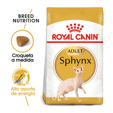 Royal Canin Adult Sphynx ração para gatos
