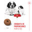 15 kg Royal Canin Starter Puppy Giant Ração para cachorro, , large Indicador imagem número 5