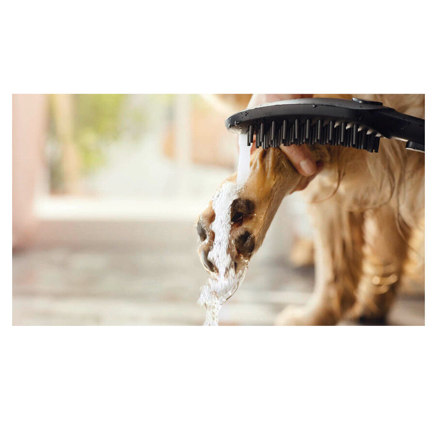 Hansgrohe Chuveiro Preto para c&atilde;es, , large Imagem n&uacute;mero 6