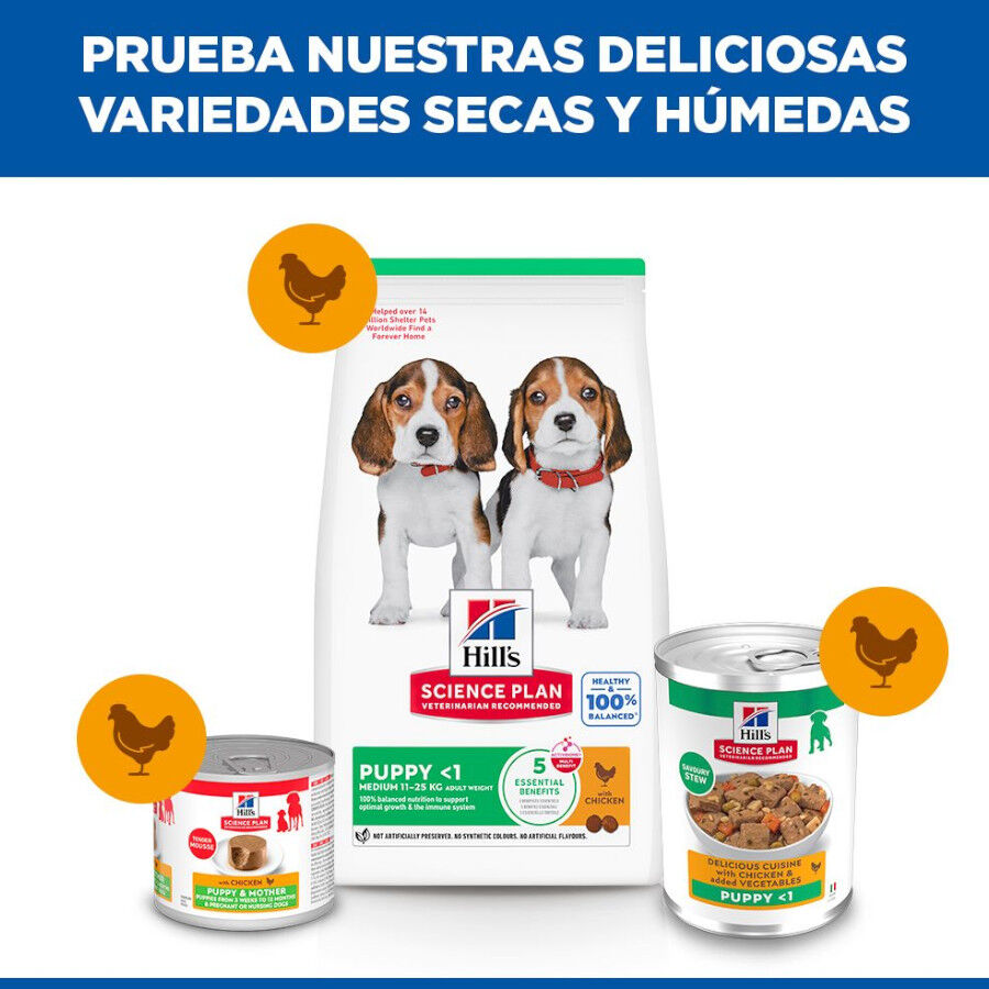 363 g  Hill's Science Plan Puppy Estufado com frango e legumes Lata para c&atilde;es, , large Imagem n&uacute;mero 5