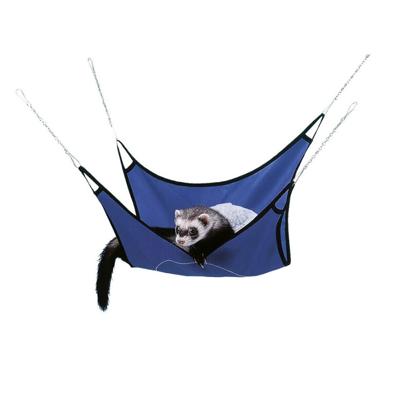 accesorios_ferplast_huron_hamaca_azul_FER84890099_M Imagem número 1 Ferplast hamaca de tela azul para hurones Imagem número 1