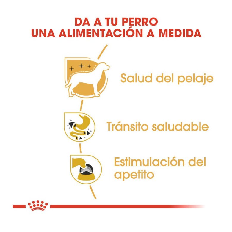 85 g Royal Canin Adult Chihuahua patê em saquetas para cães,  Imagem número 6 85 g Royal Canin Adult Chihuahua patê em saquetas para cães, , large Imagem número 6