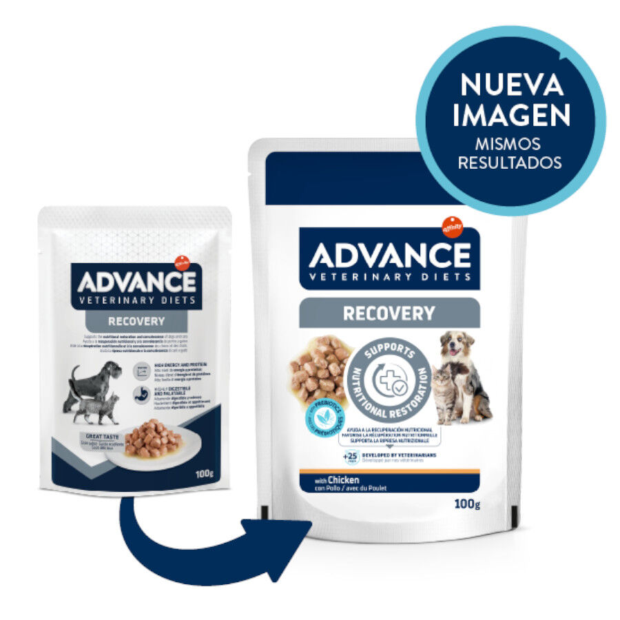 100 g Advance Recovery Saquetas para c&atilde;es e gatos, , large Imagem n&uacute;mero 2