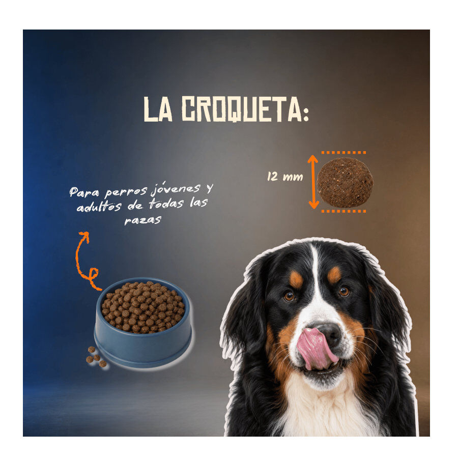 10 kg Lenda Grain Free Ra&ccedil;&atilde;o de Peru e Pato para c&atilde;es, , large Imagem n&uacute;mero 5
