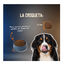 10 kg Lenda Grain Free Ra&ccedil;&atilde;o de Peru e Pato para c&atilde;es, , large Indicador imagem n&uacute;mero 5
