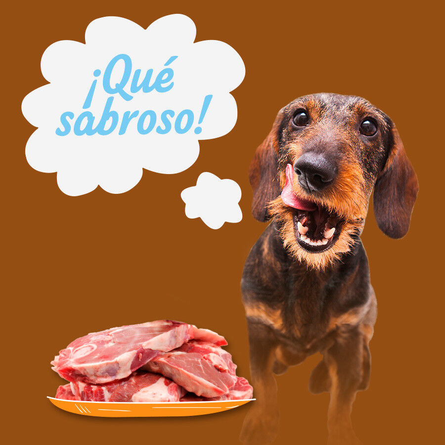 6 latas x 400 g Start! Adulto Frango, Vitela e Cordeiro em Gelatina para c&atilde;es, , large Imagem n&uacute;mero 4