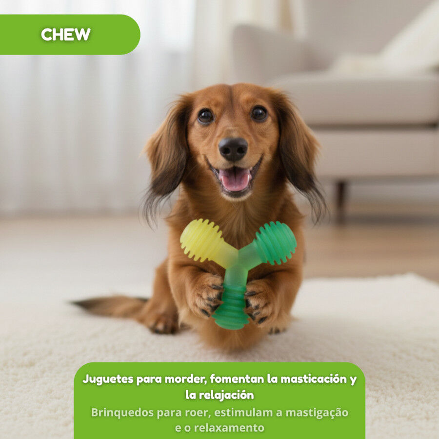 Tootoy! Chew Mordedor bola tripla para c&atilde;es, , large Imagem n&uacute;mero 5