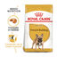 9 kg Royal Canin Adult Buldogue Francês ração para cães, , large Indicador imagem número 2