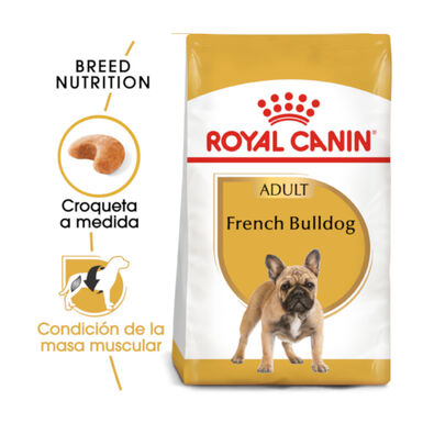 Royal Canin Adult Buldogue Francês ração para cães