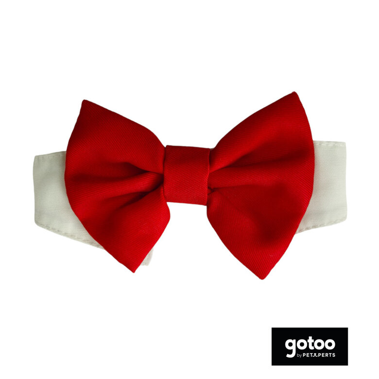 Gotoo Laço vermelho para cães,  Imagem número 2 Gotoo Laço vermelho para cães, , large Imagem número 2