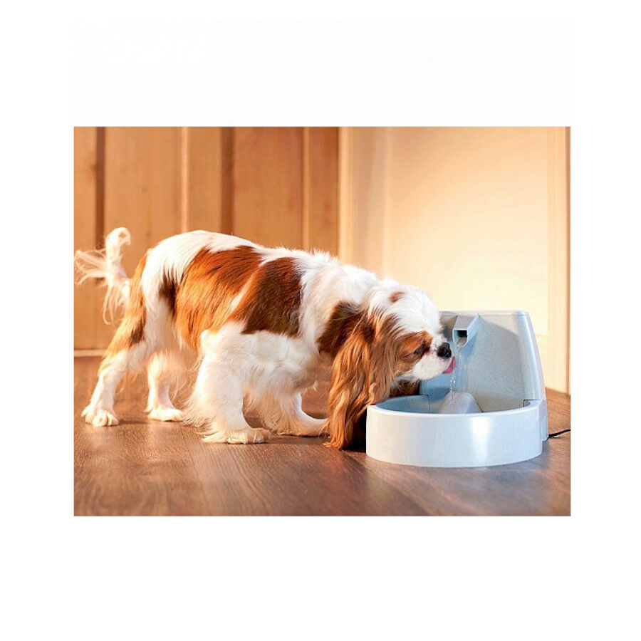 Nayeco Drinkwell Bebedouro Fonte para c&atilde;es e gato, , large Imagem n&uacute;mero 3