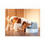 Nayeco Drinkwell Bebedouro Fonte para cães e gato, , large Indicador imagem número 3