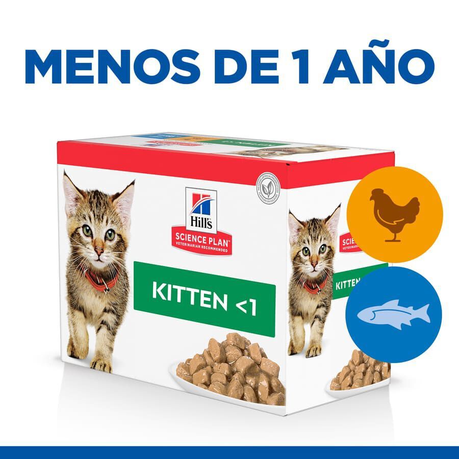 12 saquetas x 85 g Hill's Kittenn Science Plan Frango e Peixe saqueta para gatos - Multipack  12, , large Imagem n&uacute;mero 2