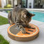 Summer Vibes Scratcher Orange Arranhador em Cart&atilde;o para gatos, , large Indicador imagem n&uacute;mero 1
