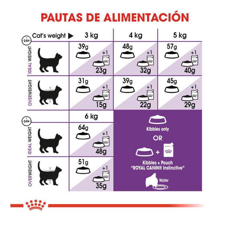 12 kg (10 + 2 kg grátis!) Royal Canin Regular Sensible 33 ração para gatos,  Imagem número 6 12 kg (10 + 2 kg grátis!) Royal Canin Regular Sensible 33 ração para gatos, , large Imagem número 6