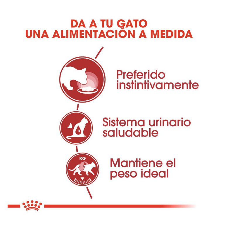 85 g Royal Canin Instinctive Saquetas de Gelatina para gatos,  Imagem número 4 85 g Royal Canin Instinctive Saquetas de Gelatina para gatos, , large Imagem número 4