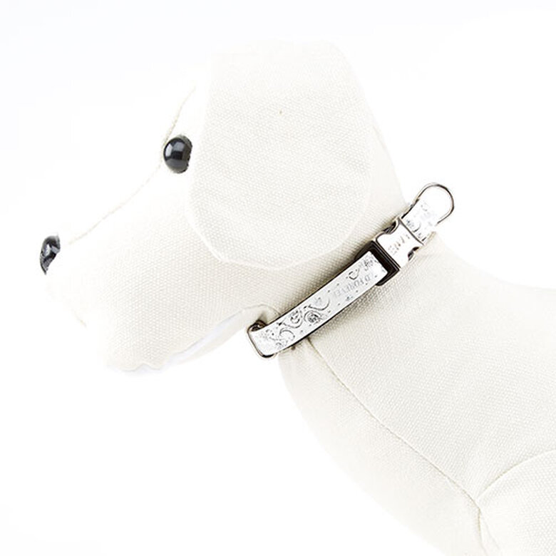 Envy Wild Forever Coleira branca para cães,  Imagem número 1 Envy Wild Forever Collar para perros color blanco Imagem número 1