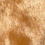 Tootoy! Comfort Skinny Squirrel Cuddler peluche com som crocante para cães, , large Indicador imagem número 3