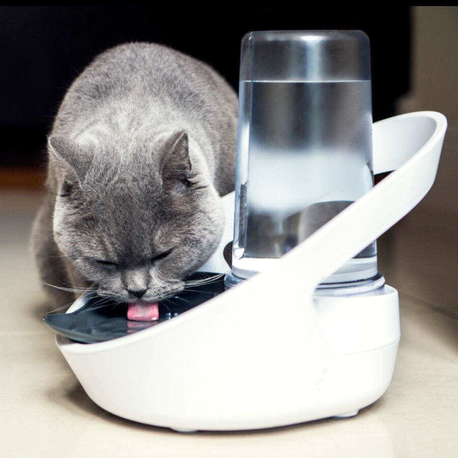 Sure Petcare Felaqua Connect Bebedero Autom&aacute;tico para gatos Imagem n&uacute;mero 2