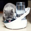 Sure Petcare Felaqua Connect Bebedero Automático para gatos Indicador imagem número 2