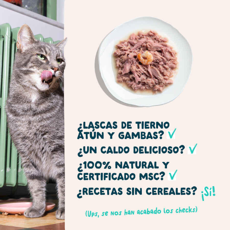 70 g Edgard & Cooper Alimento h&uacute;mido de atum e camar&atilde;o em lata para gatos, , large Imagem n&uacute;mero 4
