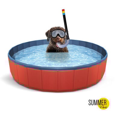 Summer Vibes Piscina Vermelha para cães