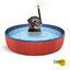 Summer Vibes Piscina Vermelha para cães, , large Indicador imagem número 2