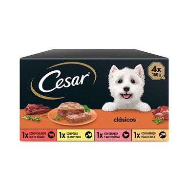Cesar Seleção Clássicos Terrina em Patê para Cães