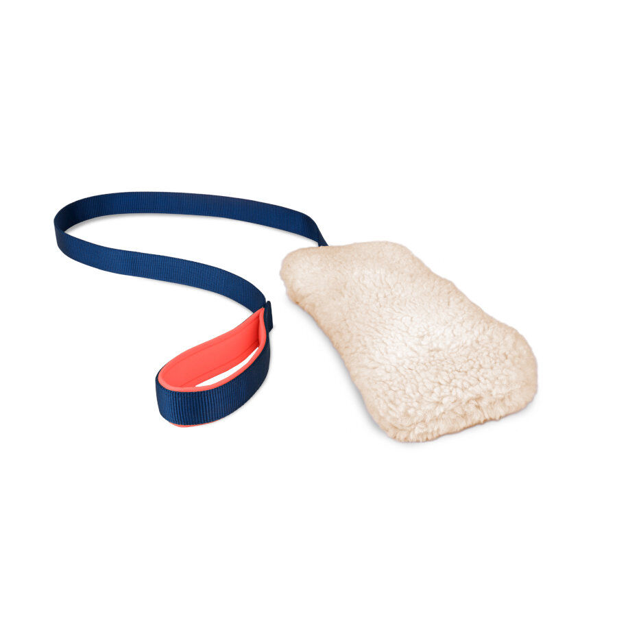 Coachi Chase  Crinkle brinquedo para c&atilde;o, , large Imagem n&uacute;mero 1