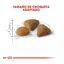 10 kg Royal Canin Adult Exigent Savour ração para gatos, , large Indicador imagem número 3