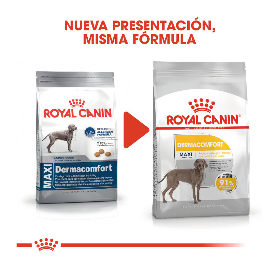 12 kg Royal Canin Maxi Dermacomfort ra&ccedil;&atilde;o para c&atilde;es, , large Imagem n&uacute;mero 3