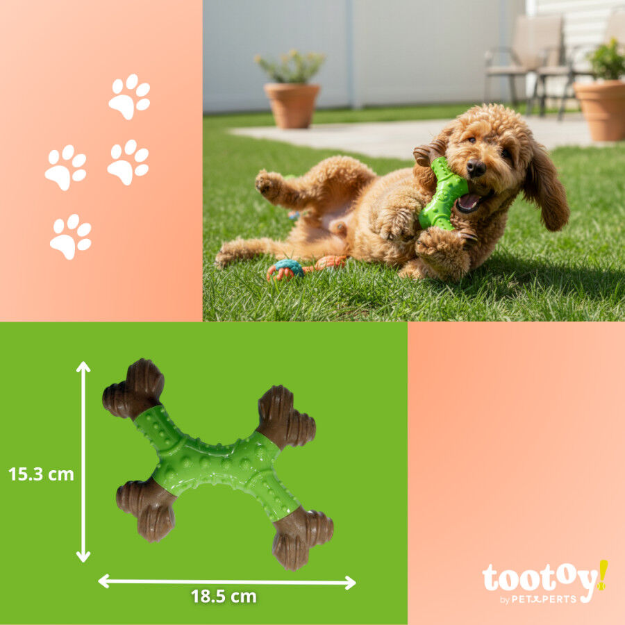 Tootoy! Chew Osso dental de bamboo sabor ma&ccedil;&atilde; para c&atilde;es, , large Imagem n&uacute;mero 4