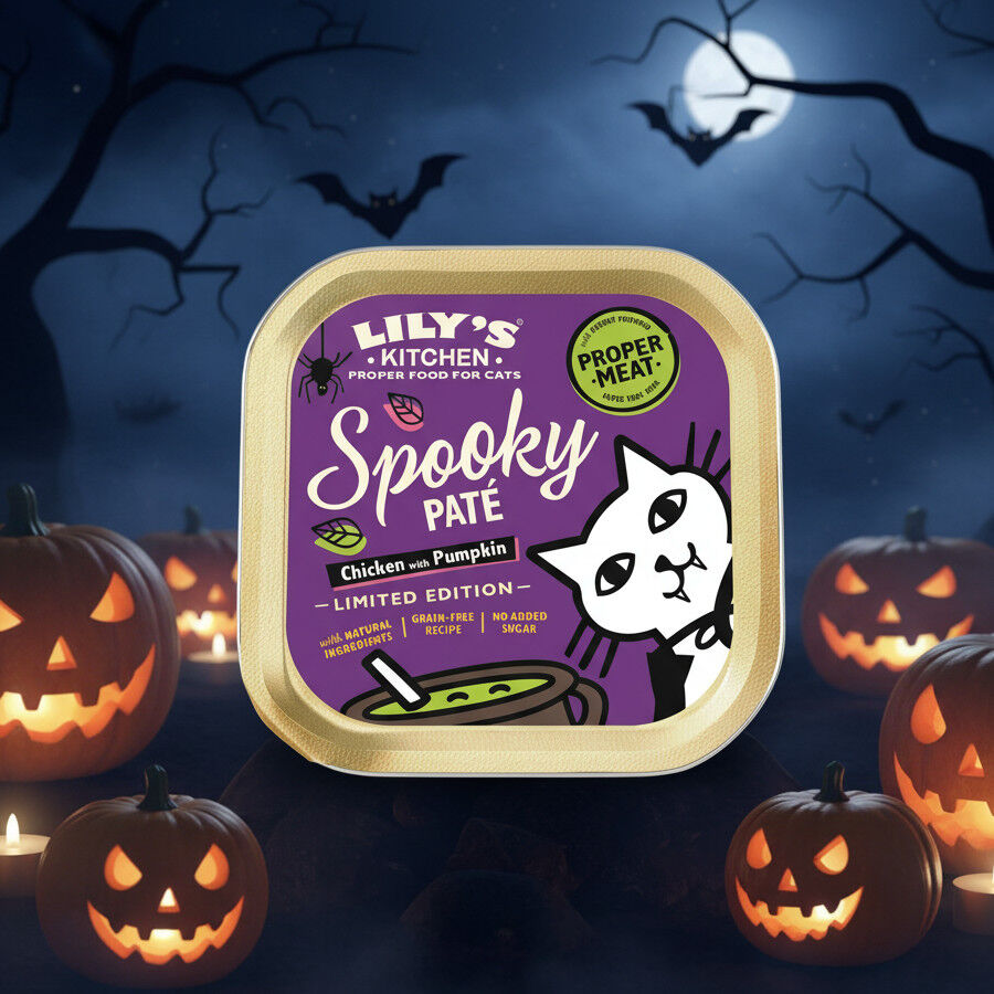 Lily's Kitchen Alimento h&uacute;mido de frango com ab&oacute;bora para gatos   , , large Imagem n&uacute;mero 2