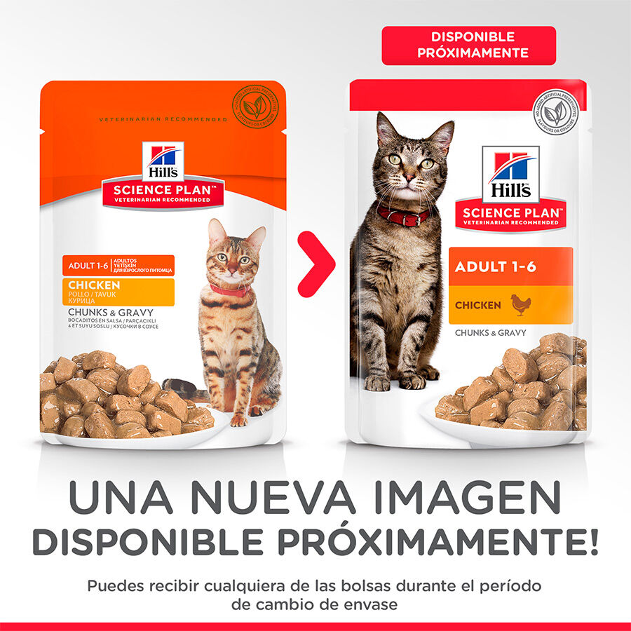85 g Hill's Science Plan Adult Frango saqueta para gatos, , large Imagem n&uacute;mero 3