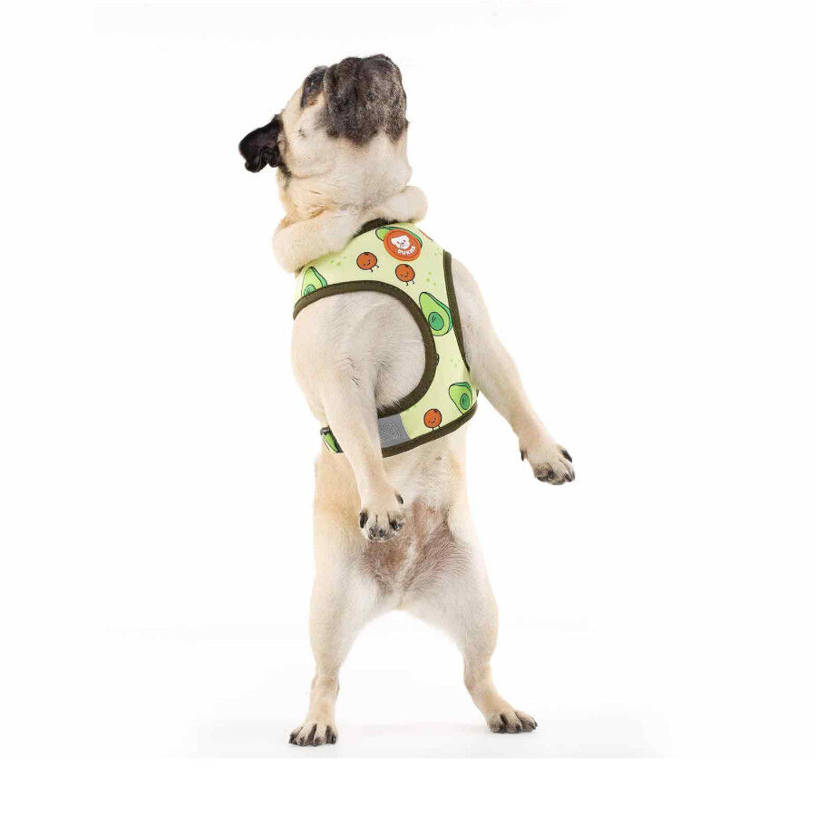 Dukier Avocado Peitoral revers&iacute;vel com estampado de abacate para c&atilde;es, , large Imagem n&uacute;mero 3