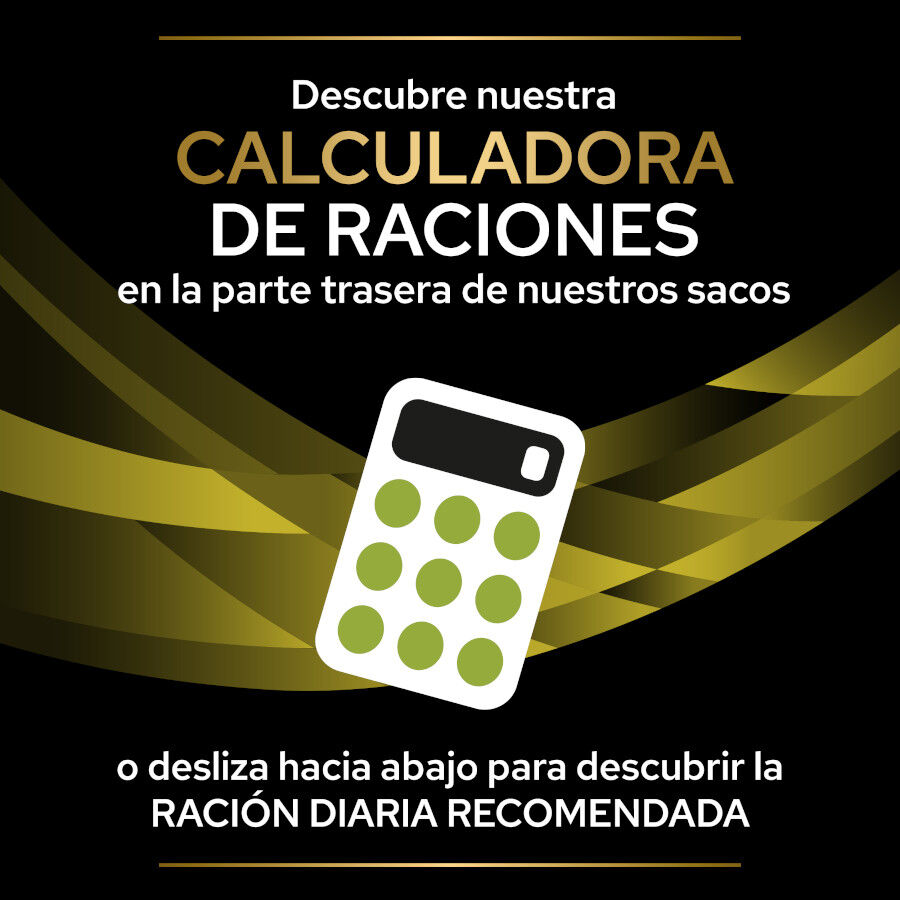 Pro Plan Veterinary Diets Hepatic HP ra&ccedil;&atilde;o para c&atilde;es, , large Imagem n&uacute;mero 6