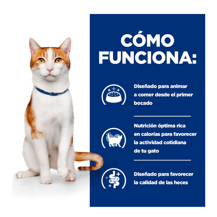 82 g Hill's Prescription Diet Feline Alimento h&uacute;mido de frango estofado e legumes para gatos, , large Imagem n&uacute;mero 4