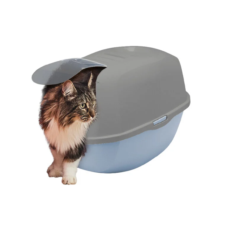 Nice Care Eco Caixa de areia Smart azul e verde para gatos,  Imagem número 1 Nice Care Eco Caixa de areia Smart azul e verde para gatos, , large Imagem número 1
