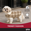 Gotoo Casaco com Padr&atilde;o Tartan aos Quadrados para c&atilde;es, , large Indicador imagem n&uacute;mero 6