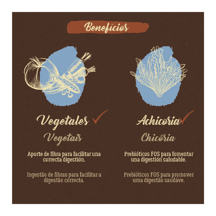 12 kg True Origins Puppy Pure Salm&atilde;o ra&ccedil;&atilde;o para cachorros, , large Imagem n&uacute;mero 6