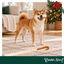 1 pack x 2 uns. Wonder Christmas Dupla de Bengalas de Natal Snacks para C&atilde;es, , large Indicador imagem n&uacute;mero 2