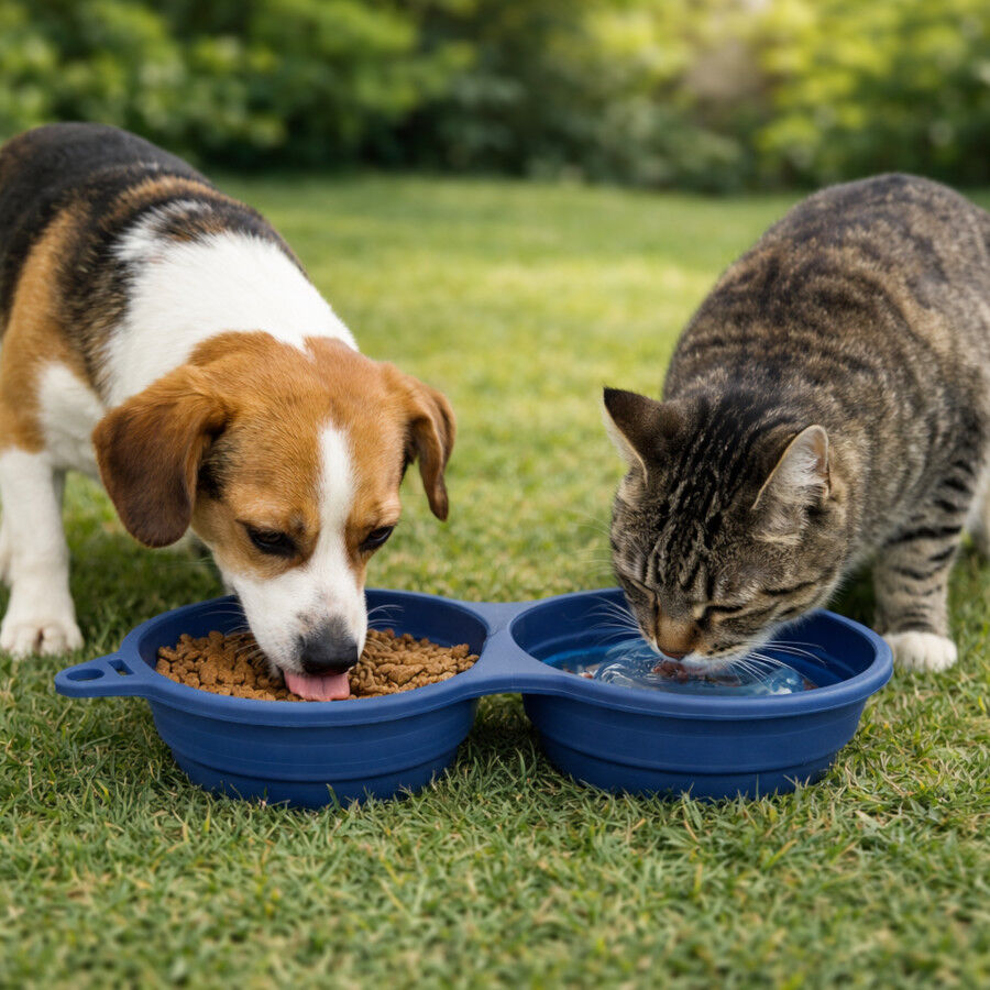 Gotoo Comedouro Port&aacute;til Duplo em Silicone Azul para c&atilde;es e gatos, , large Imagem n&uacute;mero 1