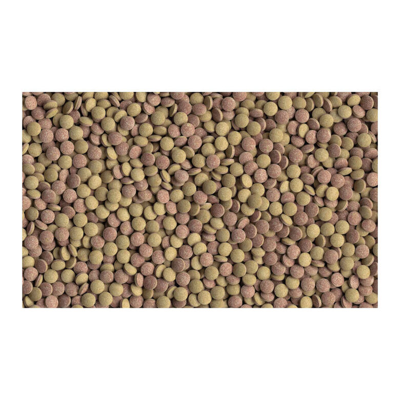 Tetra TabiMin Comprimidos para peixes ,  Imagem número 2 Tetra TabiMin Comprimidos para peixes , , large Imagem número 2