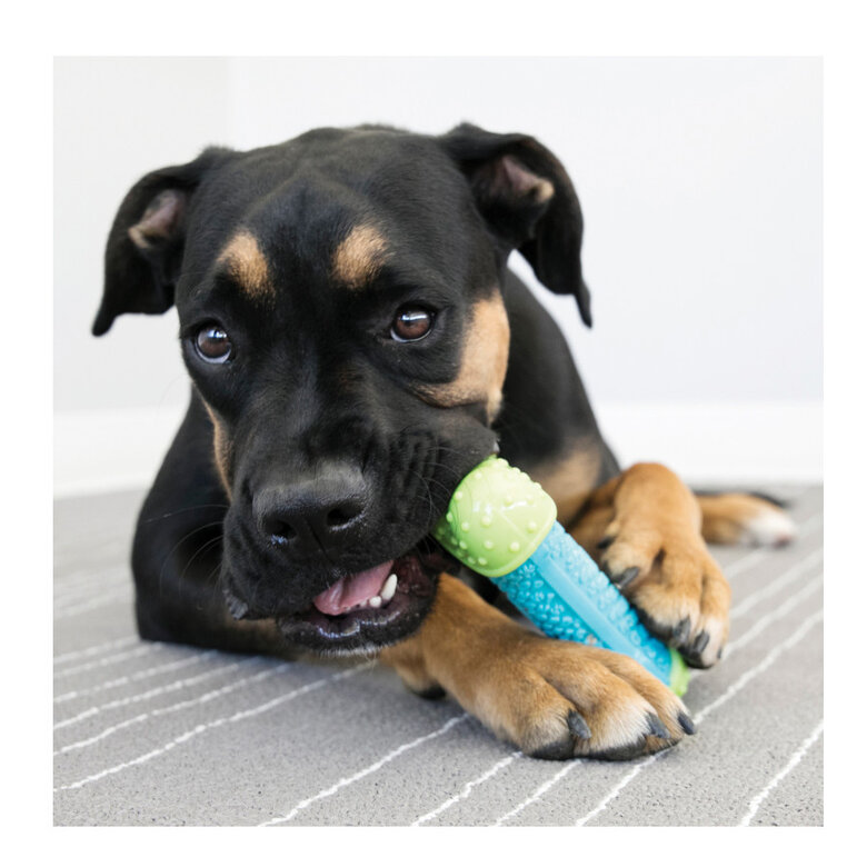 Kong Corestrength Osso para cães,  Imagem número 2 Kong Corestrength Osso para cães, , large Imagem número 2