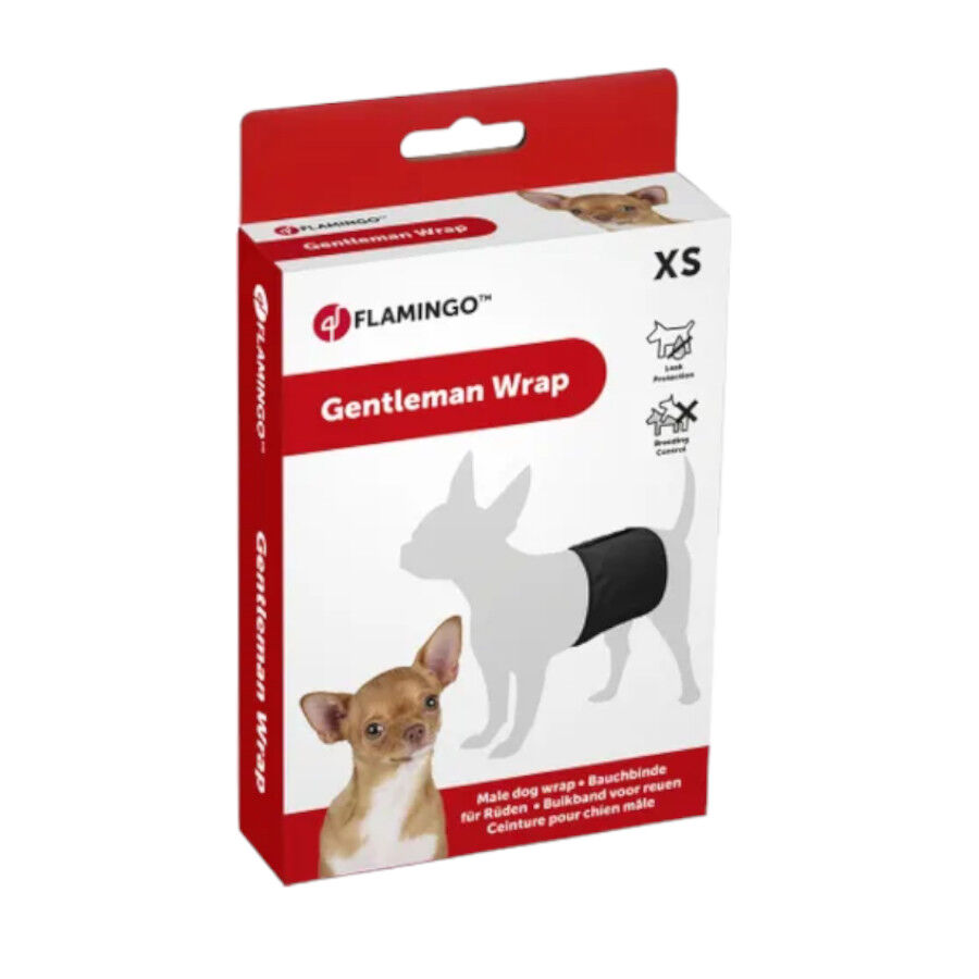 Flamingo fralda lav&aacute;vel para c&atilde;es machos, , large Imagem n&uacute;mero 1