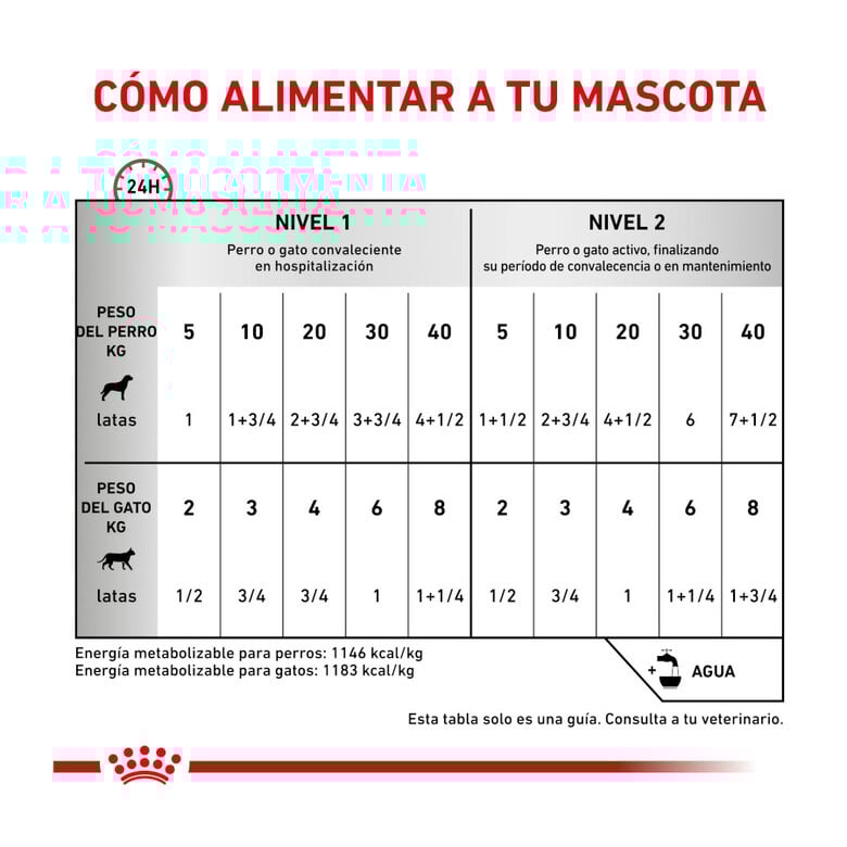 195 g Royal Canin Veterinary Recovery lata para gatos  ,  Imagem número 4 195 g Royal Canin Veterinary Recovery lata para gatos  , , large Imagem número 4