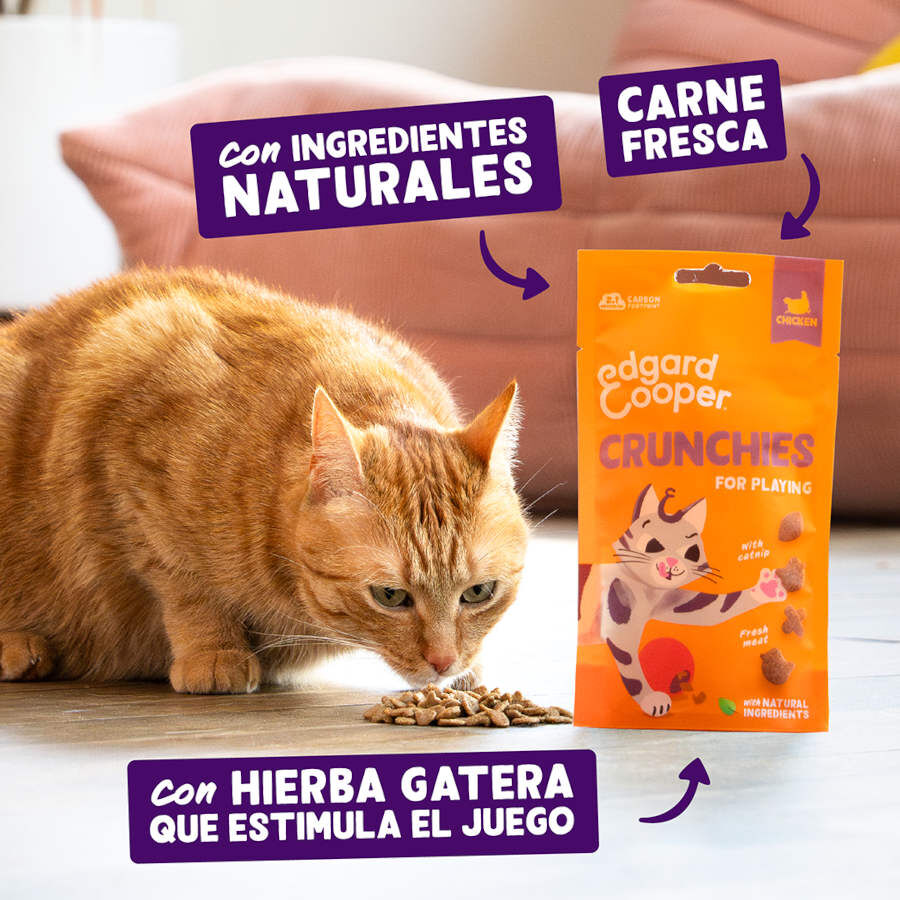 50 g Edgard & Cooper Crunchies Snack de frango para gatos, , large Imagem n&uacute;mero 2