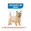 85 g Royal Canin Light Weight Care Saquetas Patê para cães, , large Indicador imagem número 4